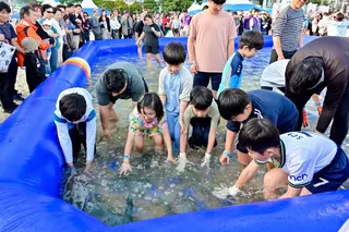 부산고등어축제 포스터