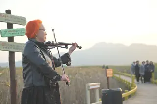 강진만 춤추는 갈대축제 포스터