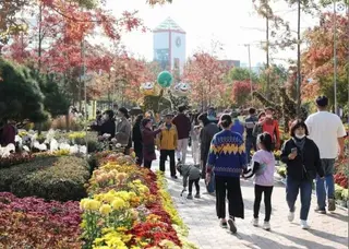 유성국화축제 포스터