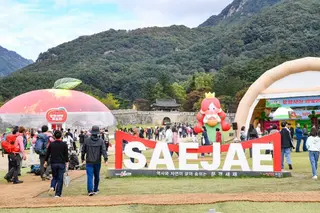 문경사과축제 포스터