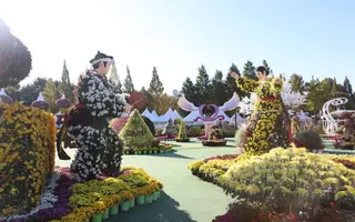 익산천만송이 국화축제 포스터