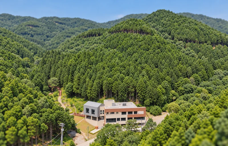 용계산 치유의숲 사진