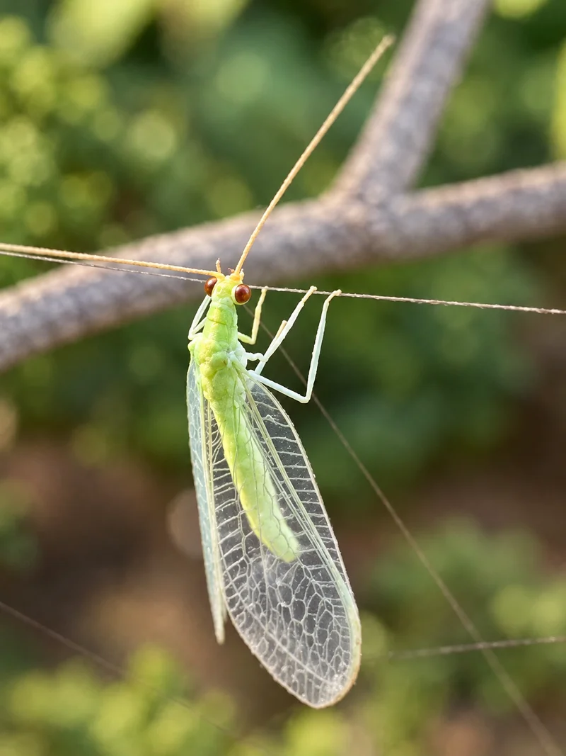 안양유아숲체험원 사진