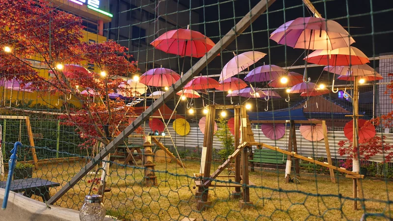 고양이정원 사진
