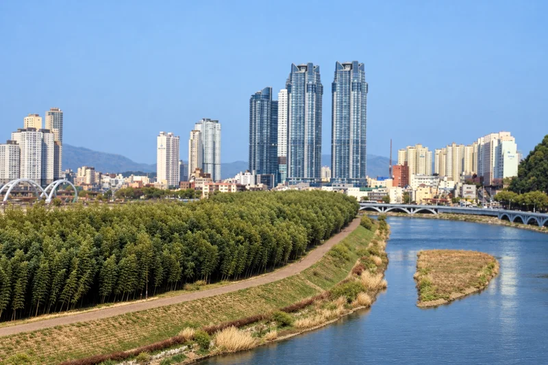 태화강 전망대 사진