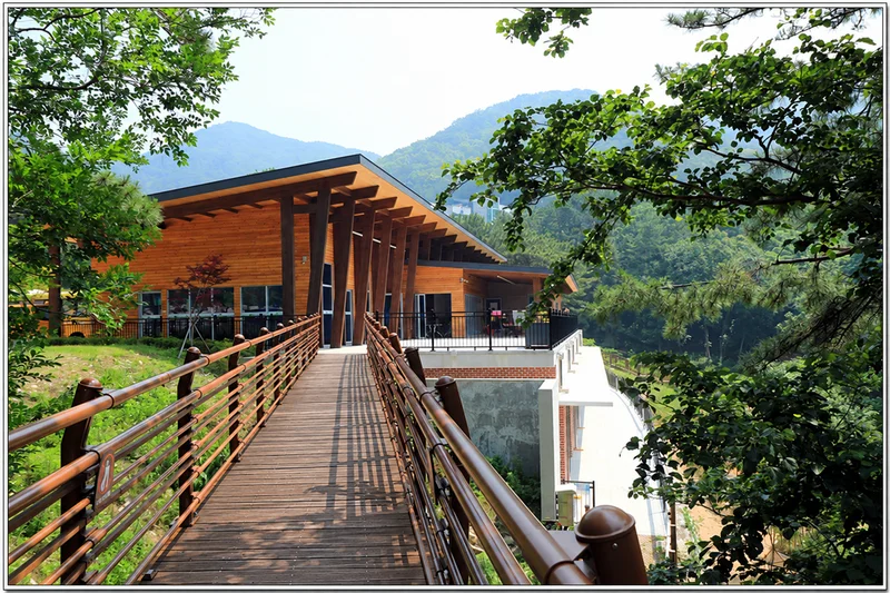 국립부산승학산치유의숲 사진