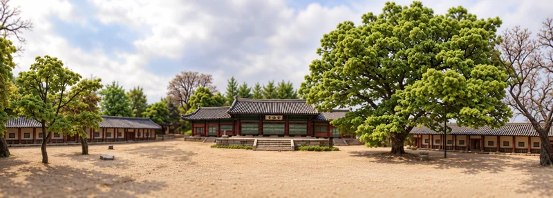 성균관대 명륜당 사진