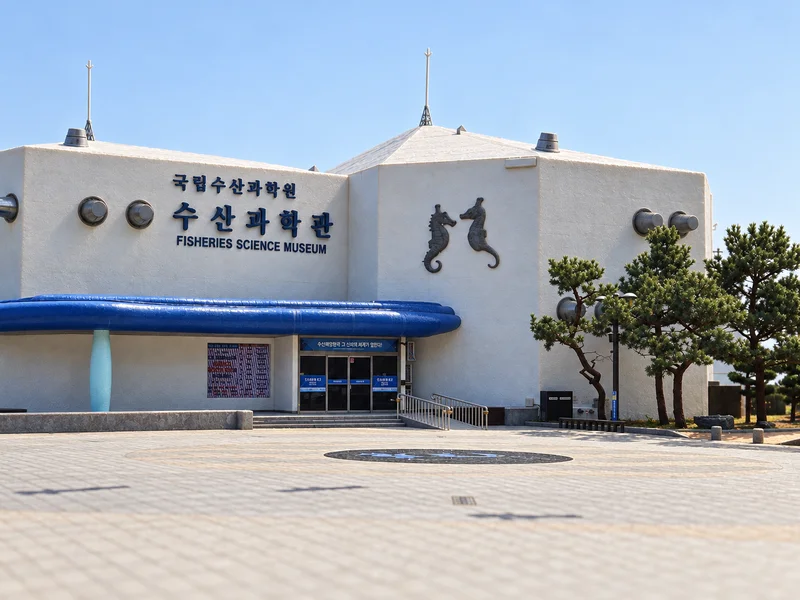 국립수산과학원수산과학관 사진