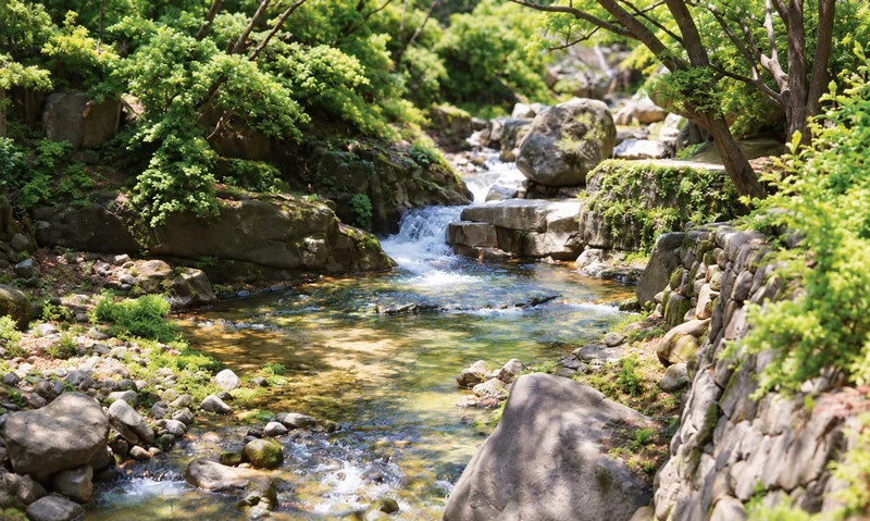 도봉계곡 사진