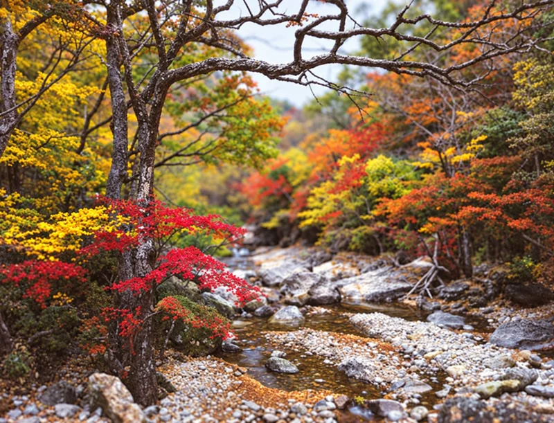 지리산피아골 사진