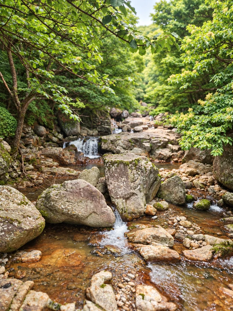 지리산피아골 사진