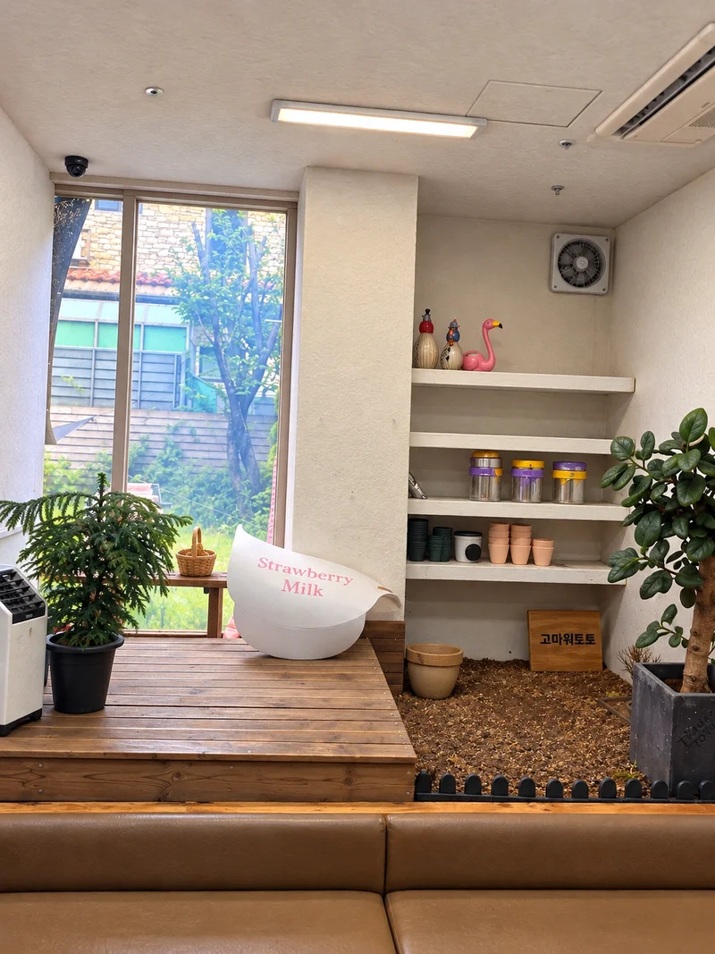 고마워토토 삼성본점 사진