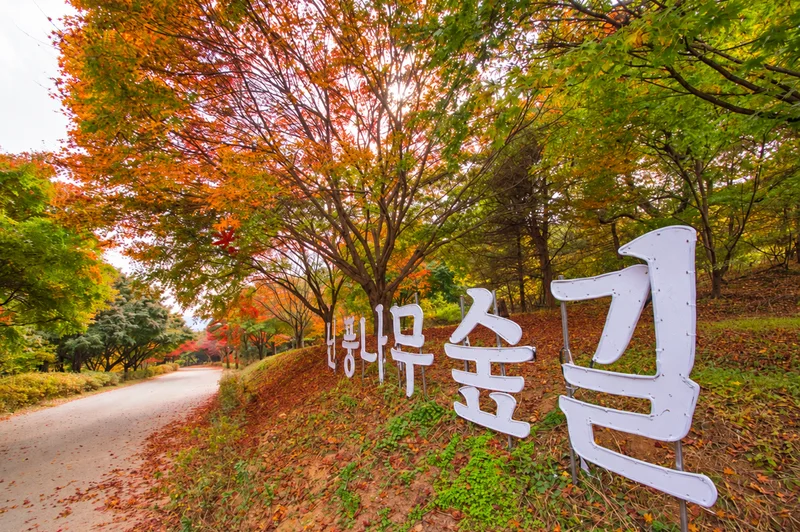 독립기념관 단풍나무숲길 사진