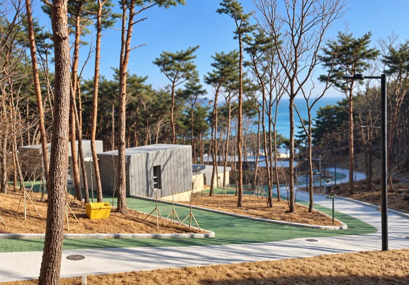 덕적도 자연휴양림 사진