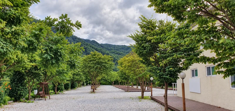 캠프더포레 사진