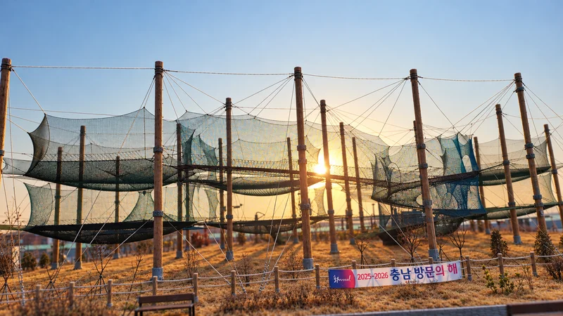 남당항 네트어드벤처 사진