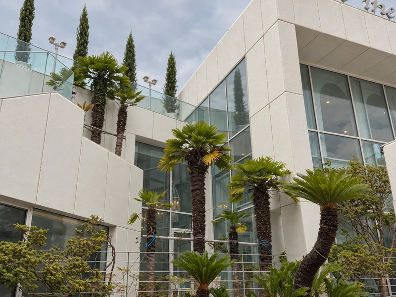 해그리다 사진