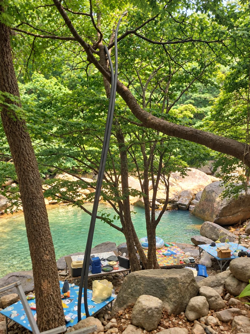 검태오남매 사진