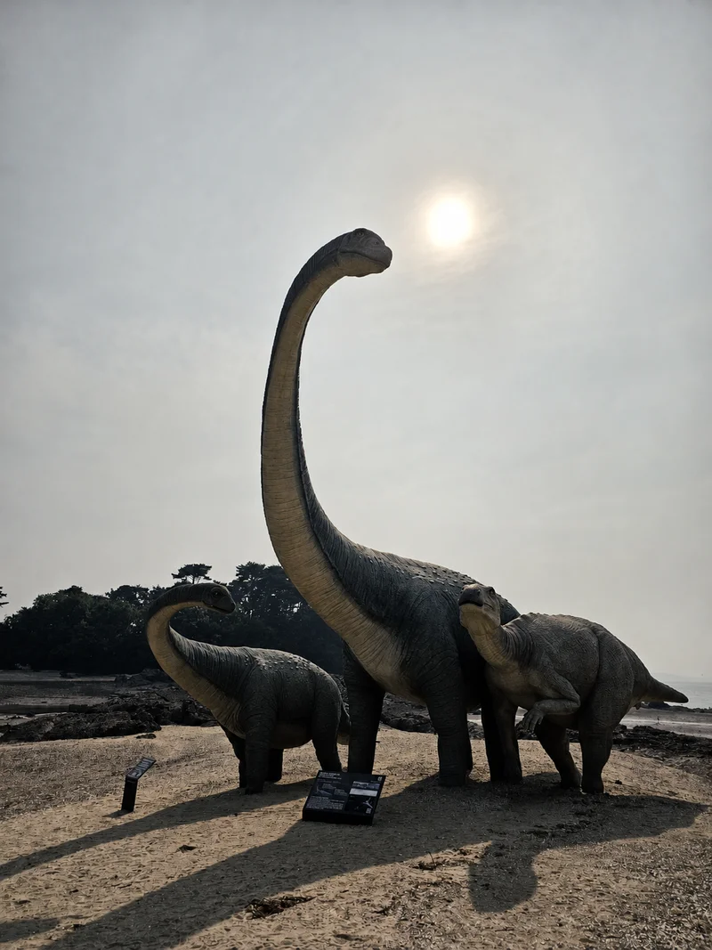 학성리공룡발자국화석산지 사진