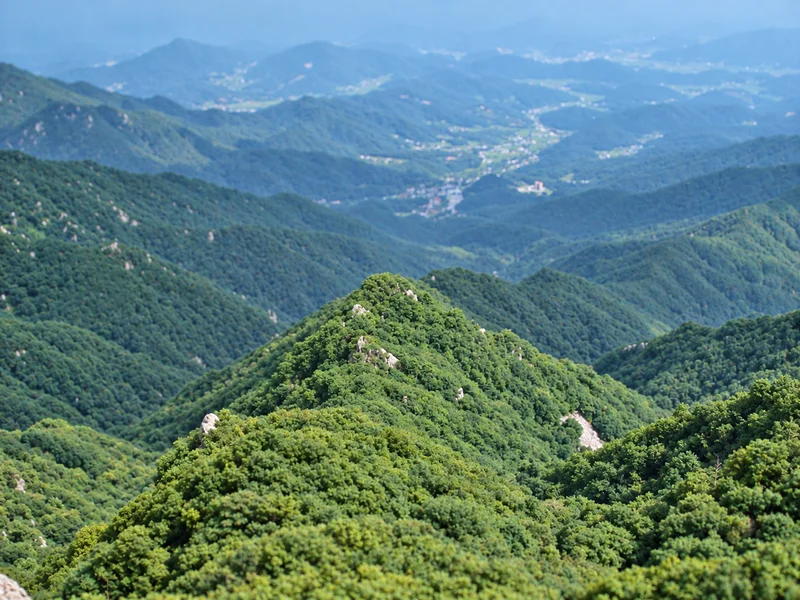 용문산 사진