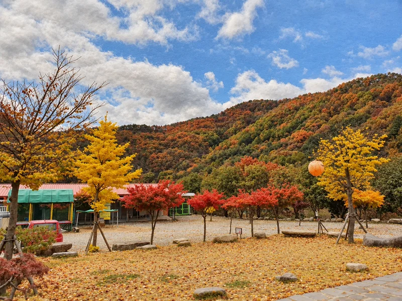 숲이조아 오토캠핑장 사진