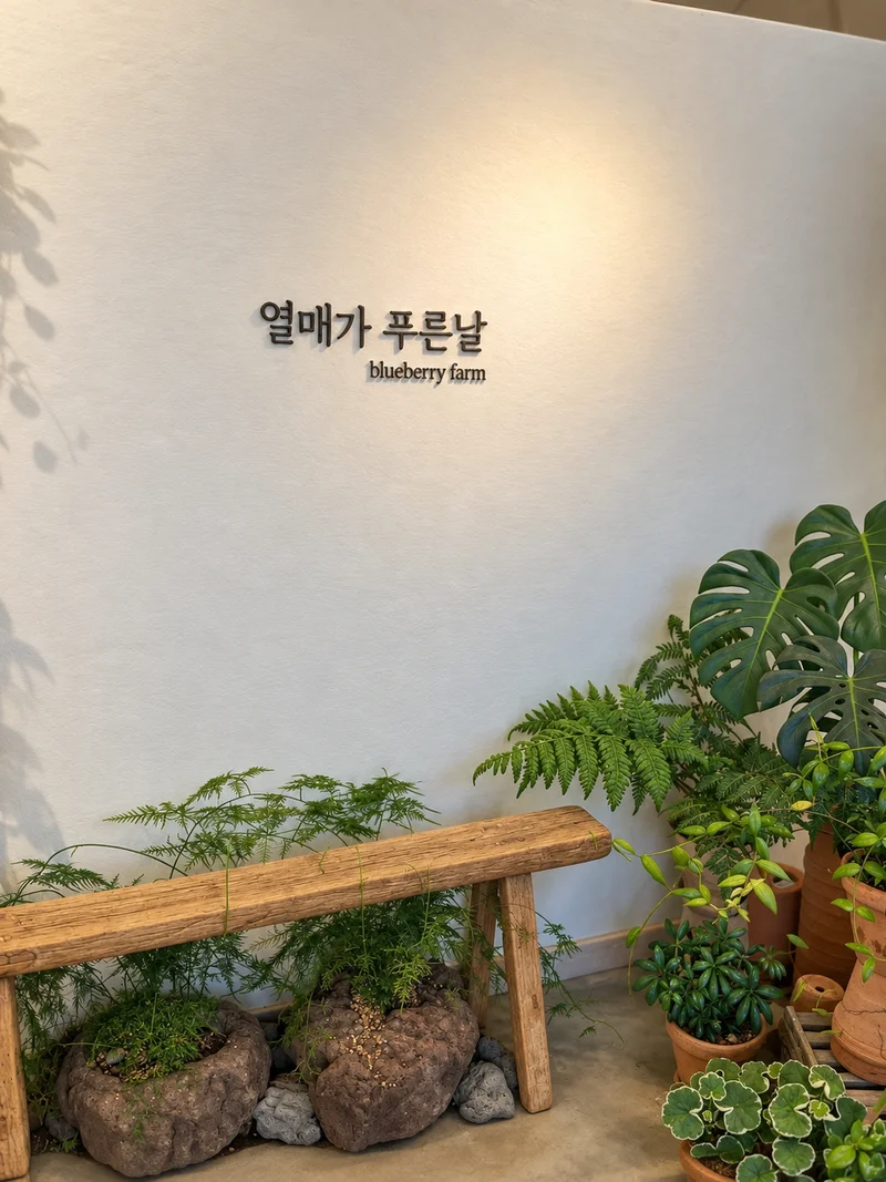 열매가푸른날 사진