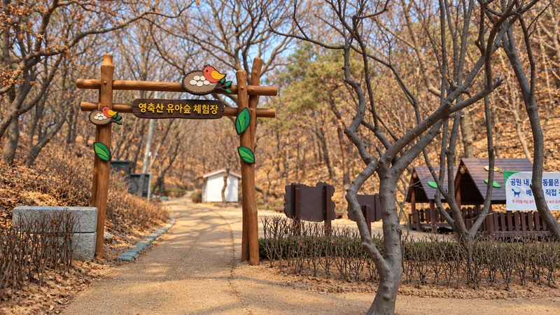 영축산유아숲체험장 사진