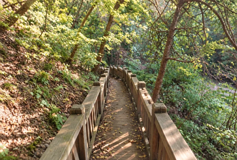 사선대계곡 사진