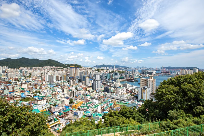 누리바라기전망대 사진