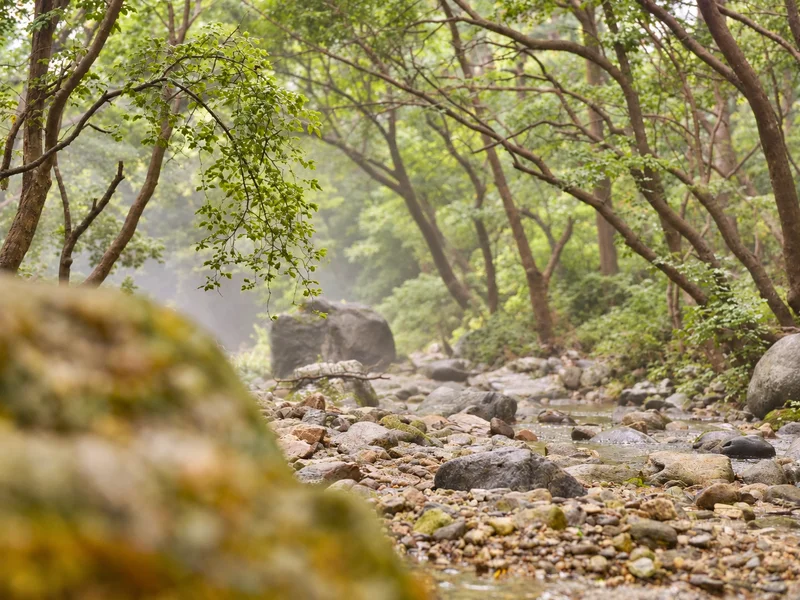 명달계곡 사진