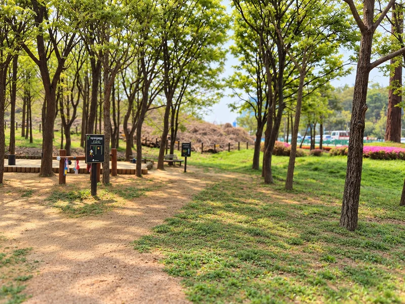 하남 유아숲체험원 사진