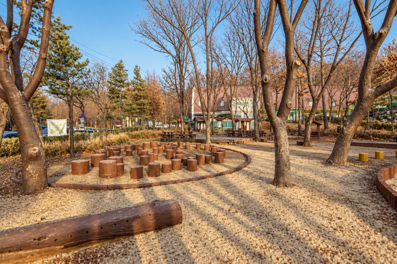 베짱이 유아숲체험원 사진