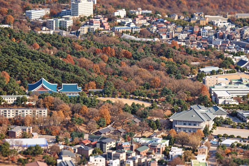 청와대 사진