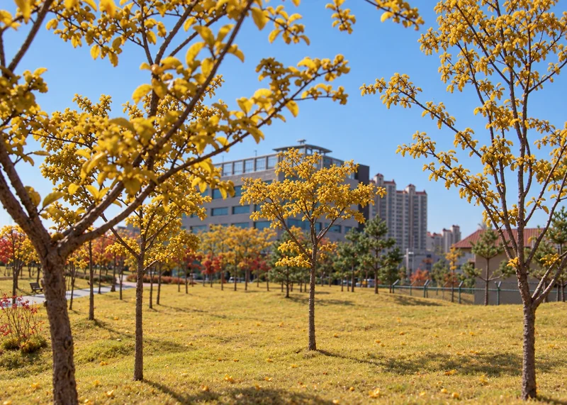 토평공원 사진