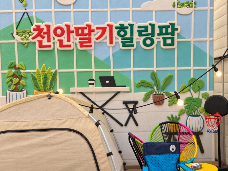 천안딸기힐링팜 사진