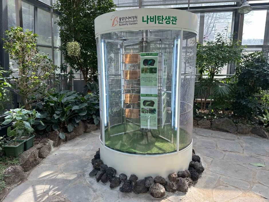 불암산나비정원 사진