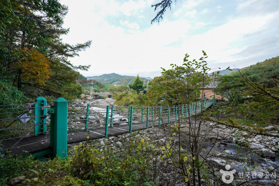 출렁다리마을 사진