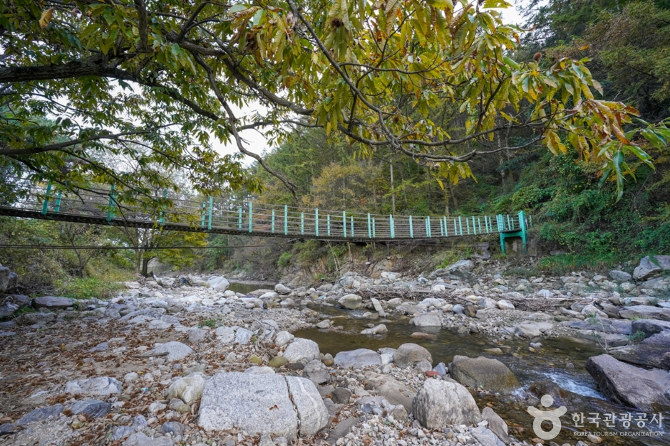출렁다리마을 사진
