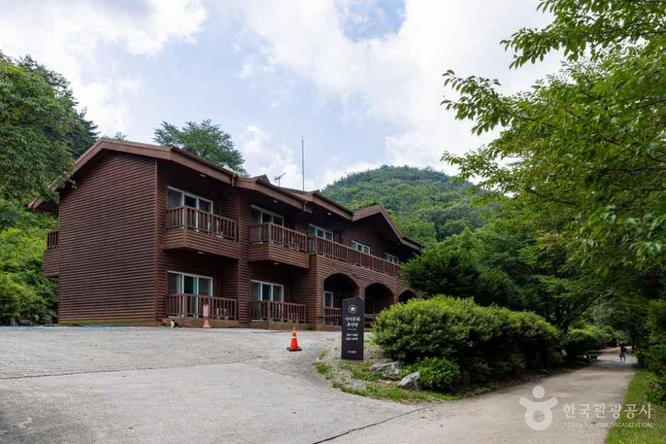 용현자연휴양림 사진