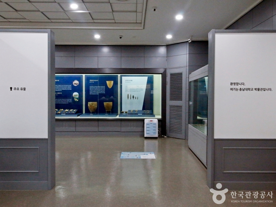 충남대학교 박물관 사진