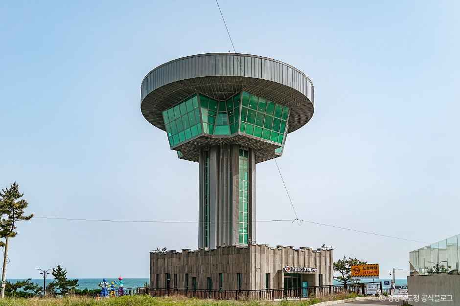 양남 주상절리 전망대 사진