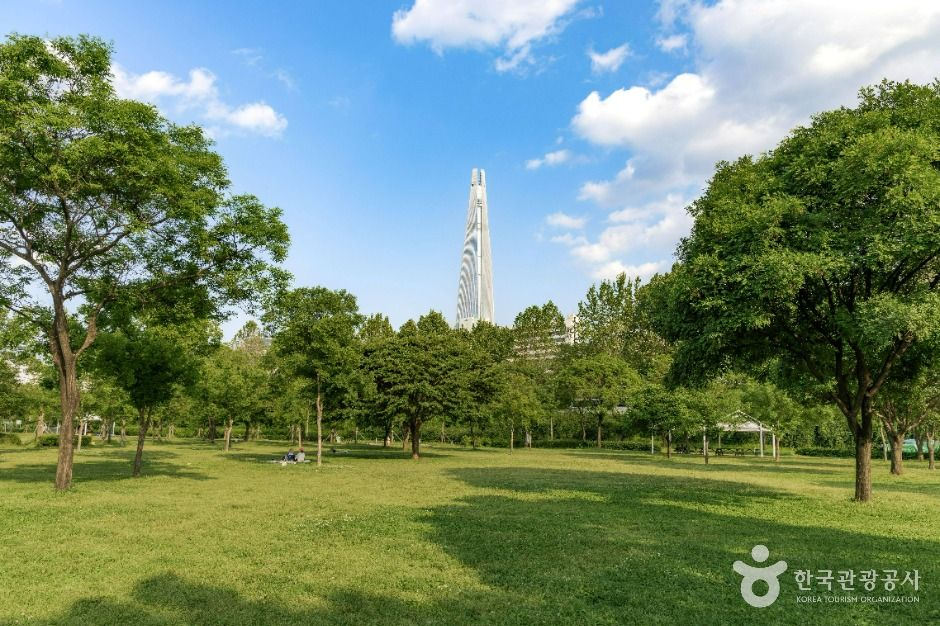 잠실 한강공원 사진