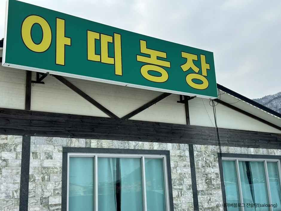 아띠딸기체험농장 사진