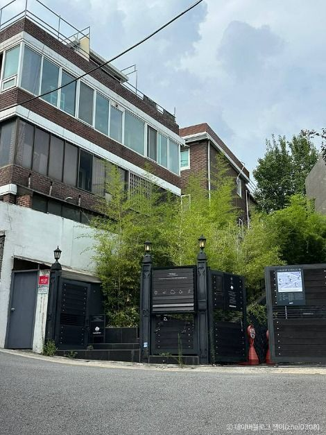 레인리포트 사진