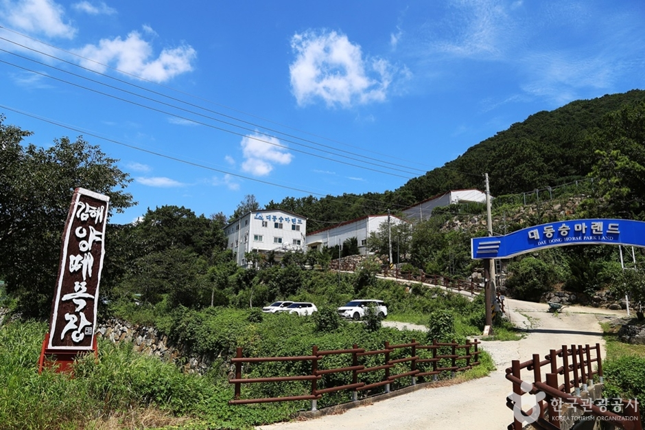 김해 대동승마랜드 사진
