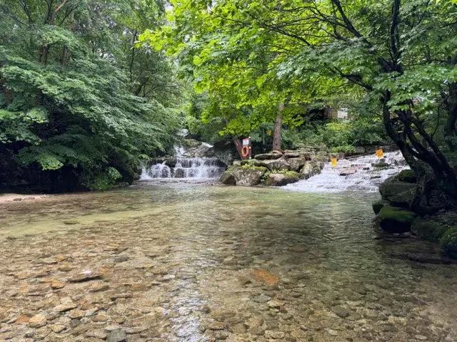 금원산자연휴양림 사진