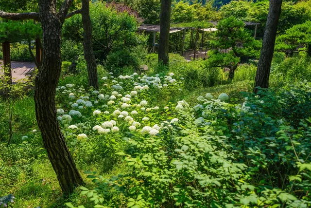 화담숲 사진