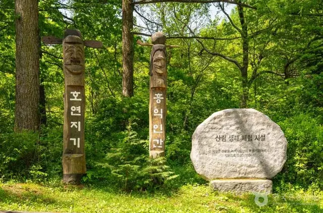 국립횡성숲체원 사진