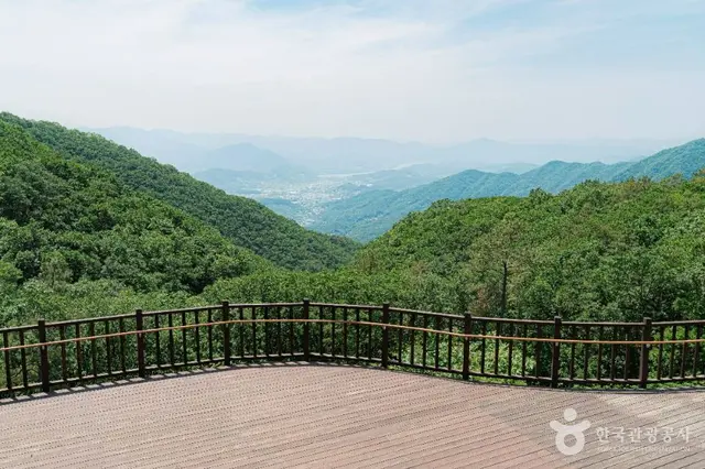설매재자연휴양림 사진