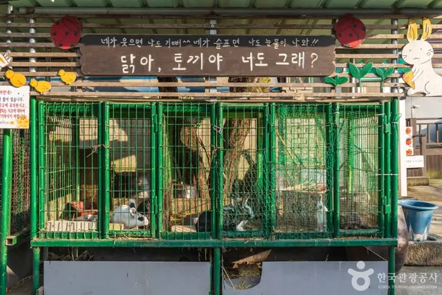 맘맘스 사진